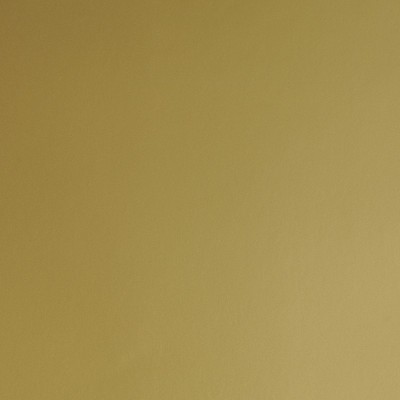 HX20871B - Or Brillant 2